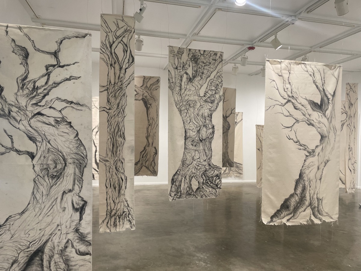 drawings of trees on canvas suspended from the art gallery ceiling