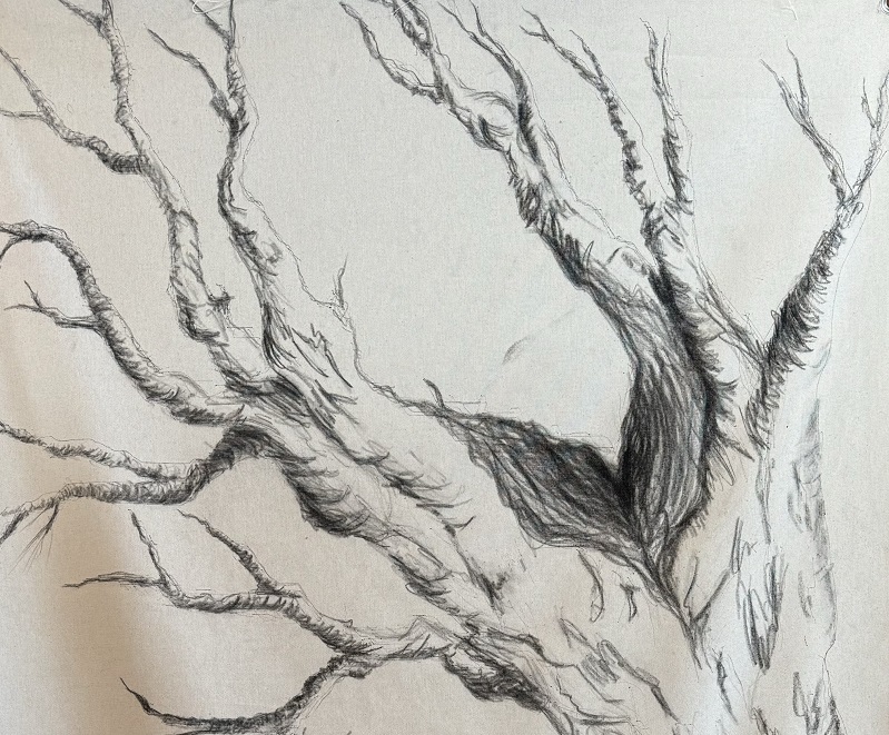 tree drawn on canvas