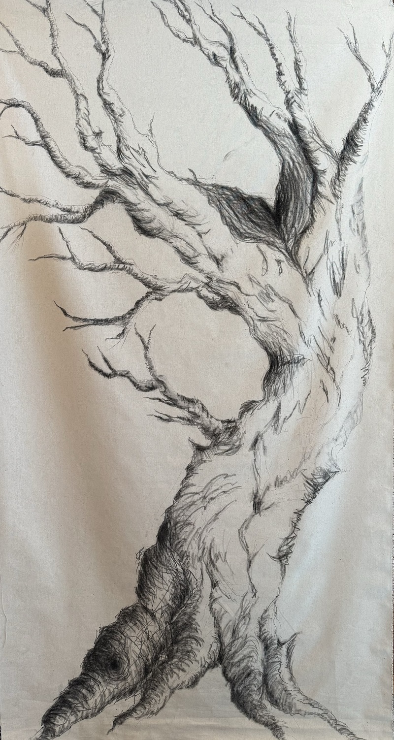 tree drawn on loose canvas